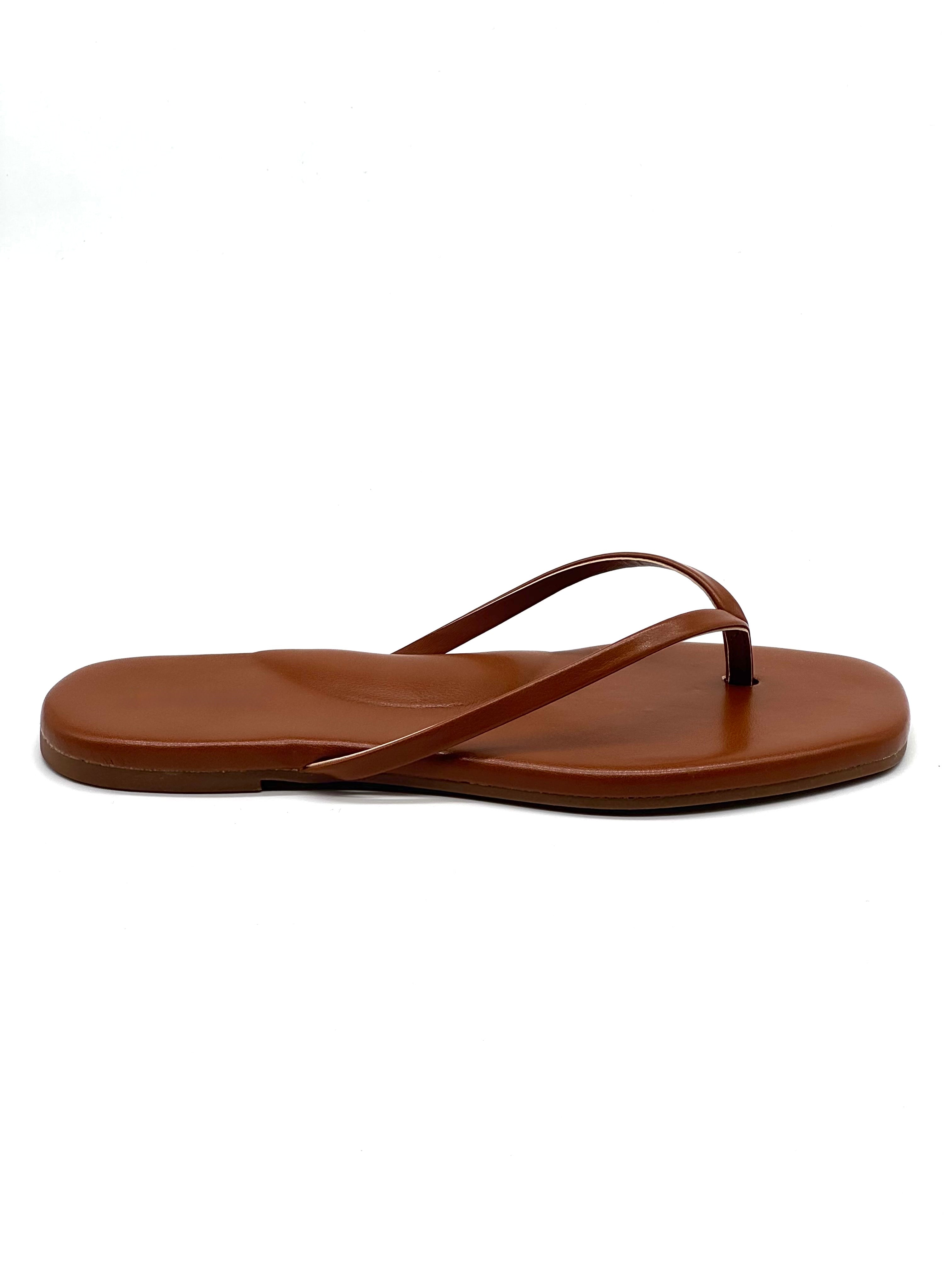 Caribe camel