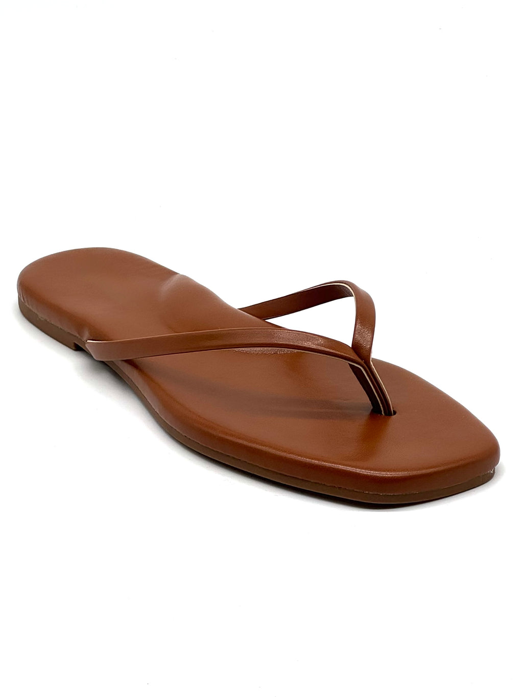Caribe camel