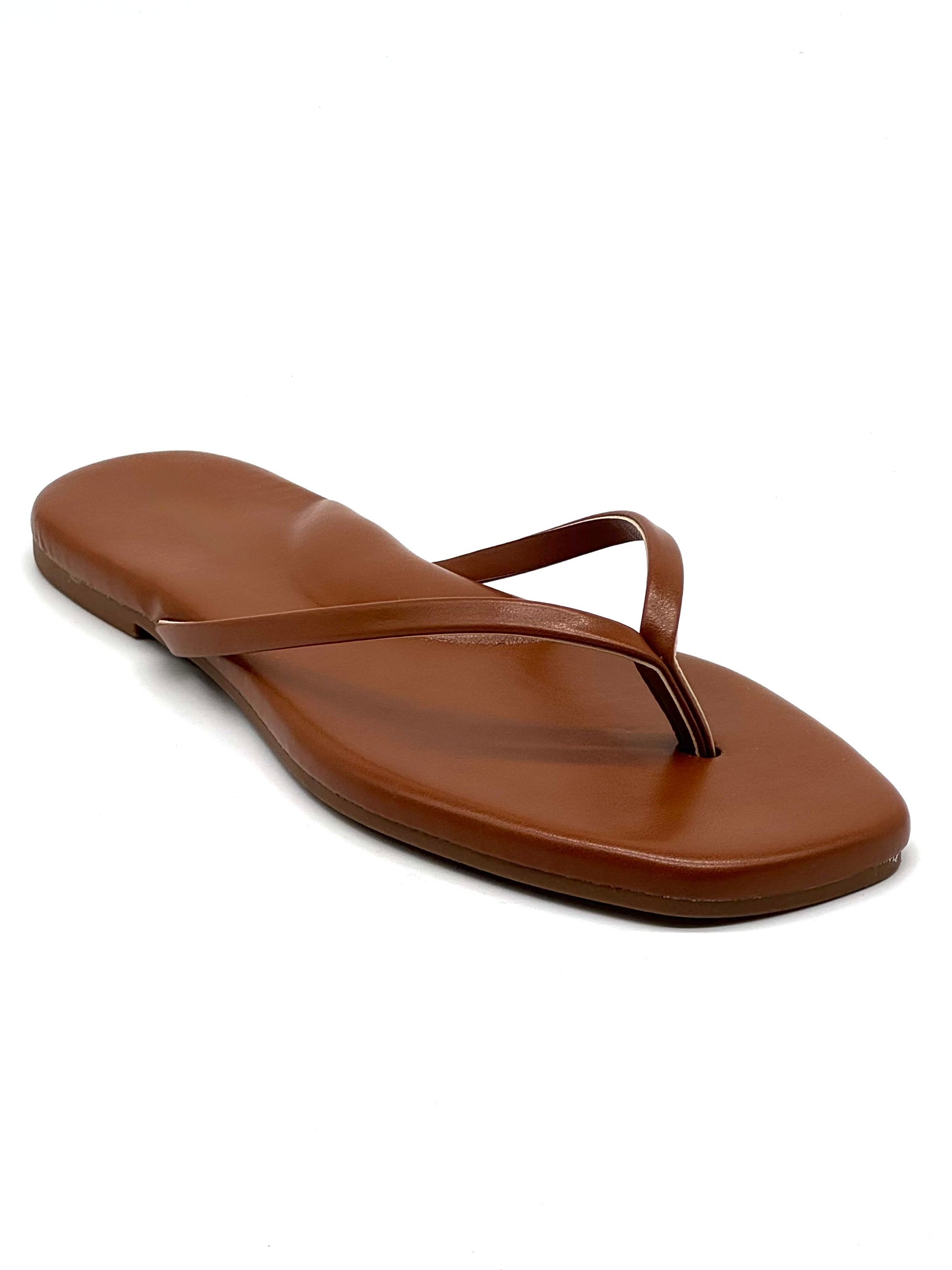 Caribe camel