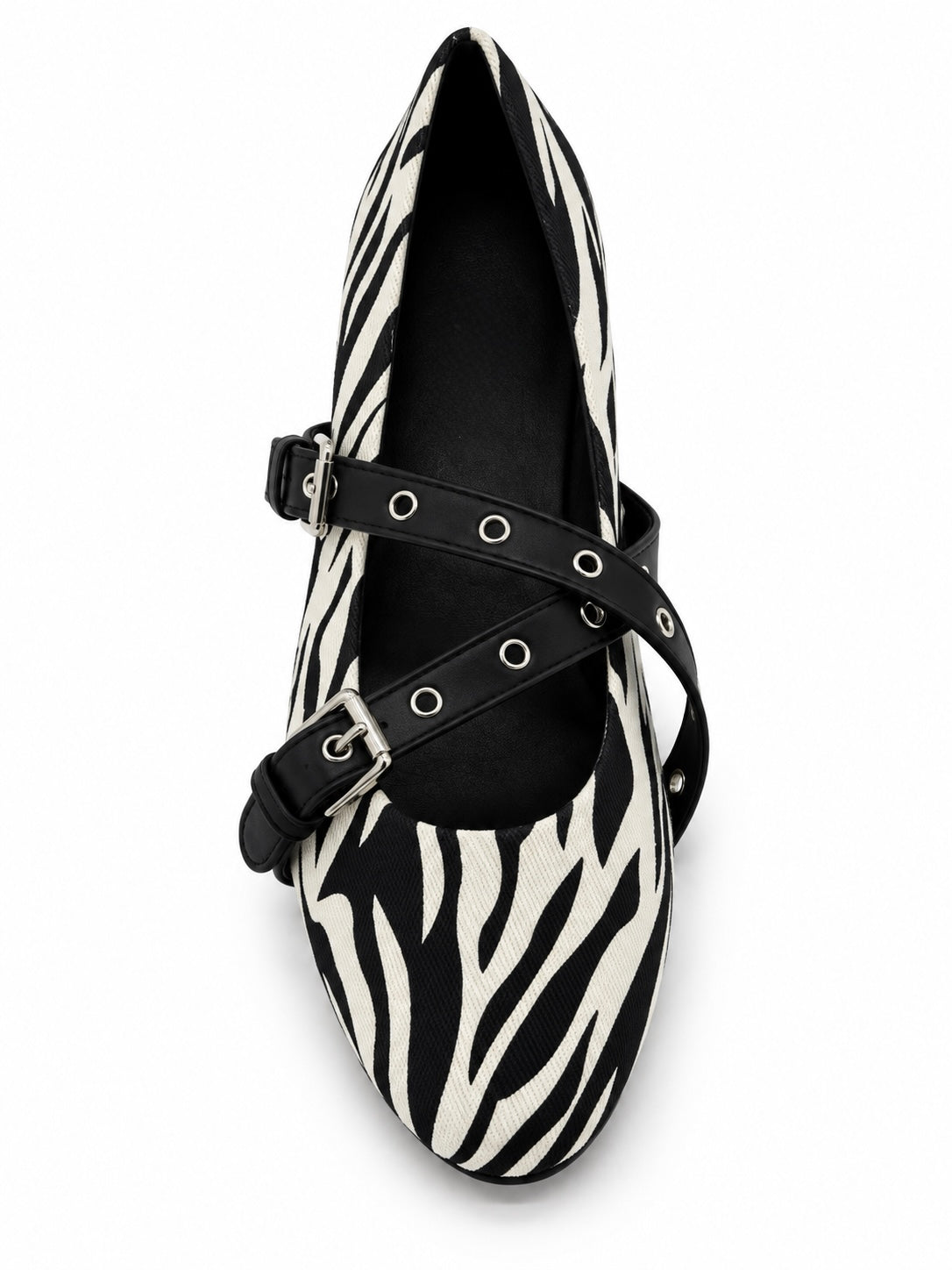 Livia Zebra