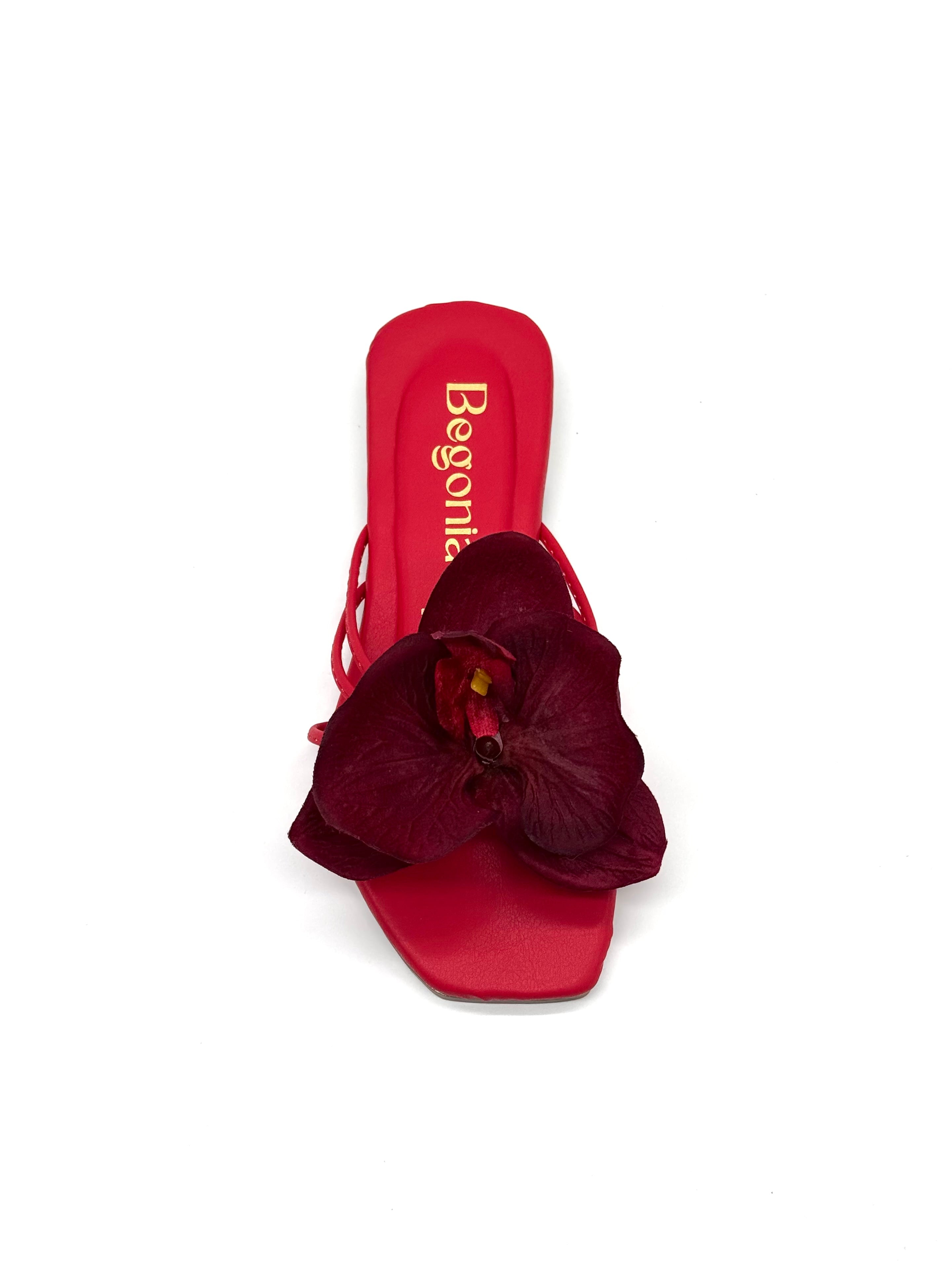 Ginebra rojo
