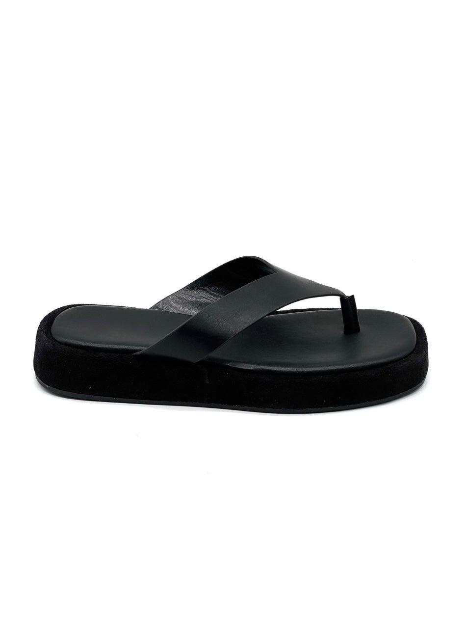 Mango negro